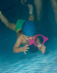 Image showing Diving to catch a toy