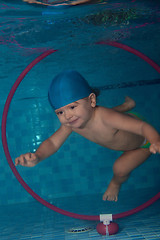 Image showing diving in the hoop underwater