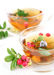 Image showing Lingonberry tea