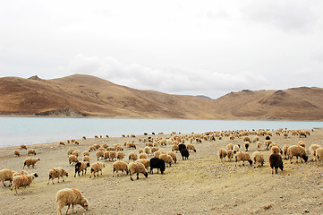 Image showing Landscape in Tibet