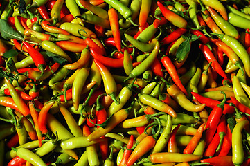 Image showing Pile of fresh pepper