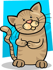 Image showing brown tabby kitten