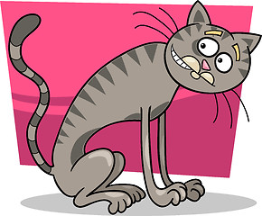 Image showing thin gray tabby cat