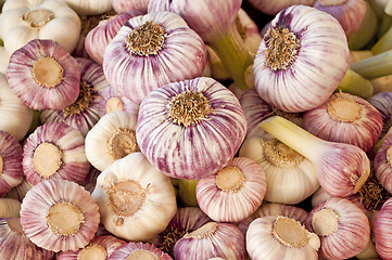 Image showing garlic