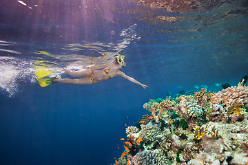 Image showing Woman scuba diver pointing to corals