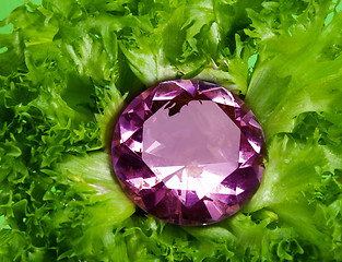 Image showing Fresh jewel