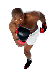 Image showing Portrait of aggressive male boxer