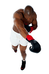 Image showing Attractive black male boxer