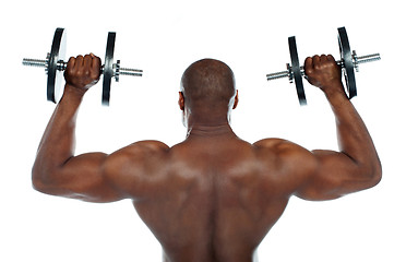 Image showing Rear view of a young male bodybuilder