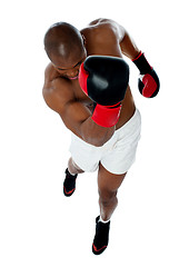 Image showing A black african athletic boxer with boxing gloves