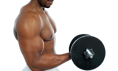 Image showing Cropped image of a bodybuilder exercising