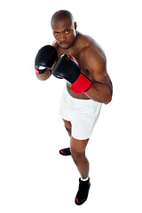 Image showing Black african boxer ready to fight