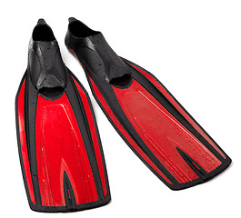 Image showing Swim fins on white background