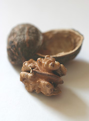 Image showing Walnut