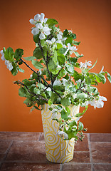 Image showing Beautiful ripe apples and branches of a blossoming apple-tree in