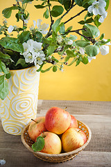 Image showing Beautiful ripe apples and branches of a blossoming apple-tree in