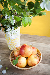 Image showing Beautiful ripe apples and branches of a blossoming apple-tree in