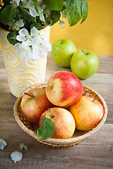 Image showing Beautiful ripe apples and branches of a blossoming apple-tree in