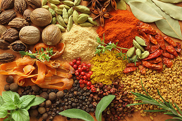 Image showing Spices and herbs