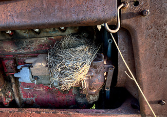 Image showing Robins nest in old tractor