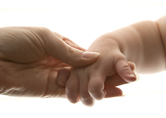 Image showing Baby hand and mom hand