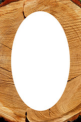 Image showing White oval photo frame texture of cut oak backdrop 