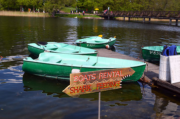 Image showing Boat rent near shore of Lake. Active recreation 