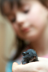 Image showing mouse in a hand of the girl