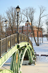 Image showing bridge across the frozen pond