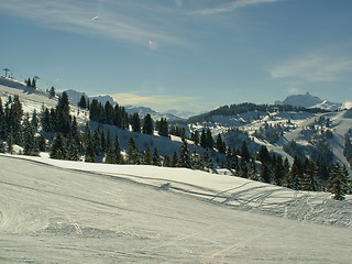 Image showing Snow Scene