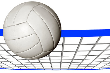 Image showing Volley Ball