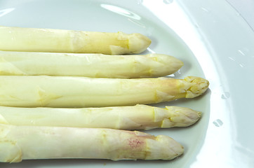 Image showing white asparagus