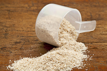 Image showing scoop of psyllium seed husks 