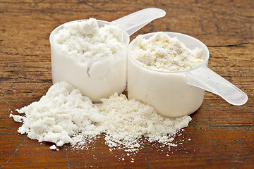 Image showing whey protein powder - two scoops