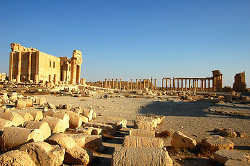 Image showing Relics of Palmyra in Syria