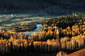 Image showing Village with golden trees in autumn