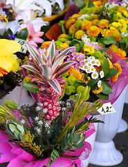 Image showing Flowers for sale