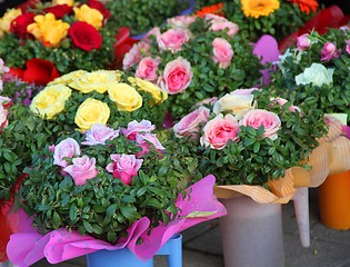 Image showing Roses for sale