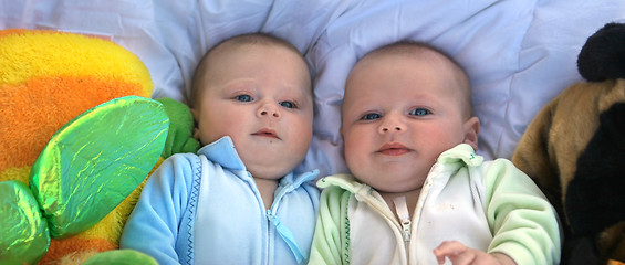 Image showing Twins panorama