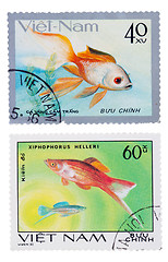 Image showing postage stamp