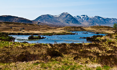 Image showing Rannoch Moor