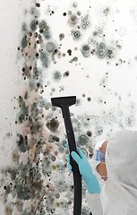 Image showing Professional cleaning mould off a wall