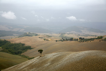 Image showing Tuscan landscape