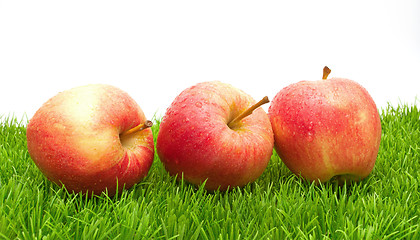 Image showing Red Apples on Grass			