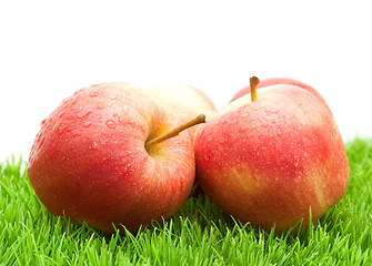 Image showing Red Apples on Grass	