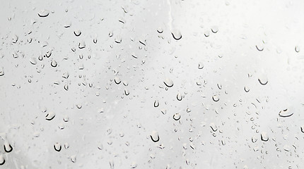 Image showing Drops of water on glass