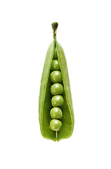 Image showing ripe green peas in the shell on a white background