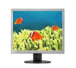 Image showing Goldfishes in aquarium in LCD monitor