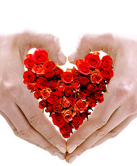 Image showing Symbol of heart made with hands and roses