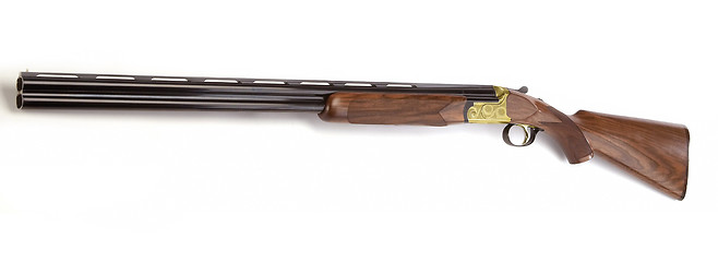 Image showing Hunting double-barrelled gun